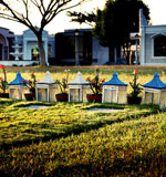 【免root】便捷的ddos在线攻击